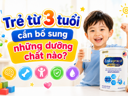 Trẻ từ 3 tuổi cần bổ sung những dưỡng chất nào để phát triển toàn diện? tre-3-tuoi-bo-sung-duong-chat-nao-1