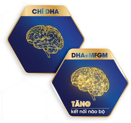 phat-trien-tri-nao-tre-bi-quyet-toi-uu-iq-va-eq-2