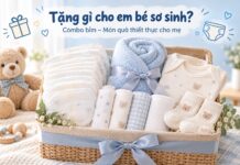 Tặng gì cho em bé sơ sinh? Gợi ý combo bỉm làm quà ý nghĩa cho mẹ mới sinh goi-y-combo-qua-tang-2