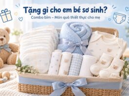 Tặng gì cho em bé sơ sinh? Gợi ý combo bỉm làm quà ý nghĩa cho mẹ mới sinh goi-y-combo-qua-tang-2