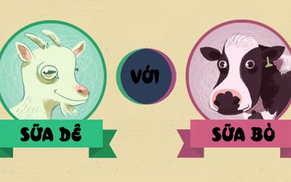 Sữa dê – Sữa bò: Bé nhà bạn hợp với sữa nào?
