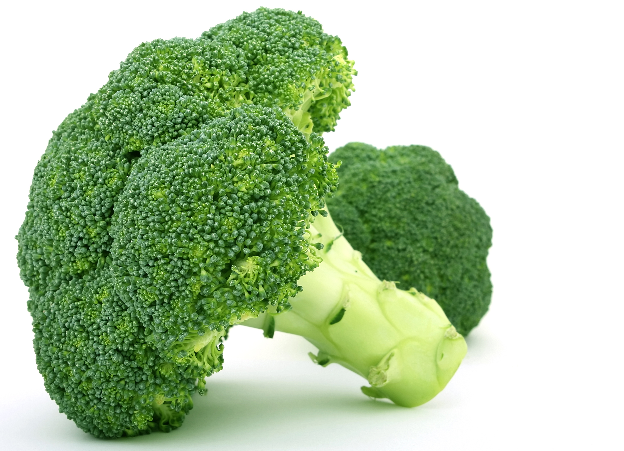 Fresh green vegetables, isolated on white, macro close up with copy space