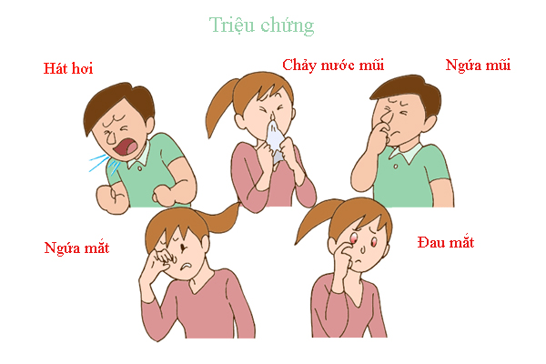 Triêu chứng của bệnh viêm mũi dị ứng